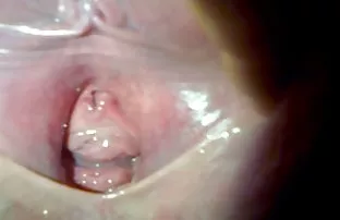 XXX छळ fucked दोन पिल्ले आयोजित रशियन गट लिंग