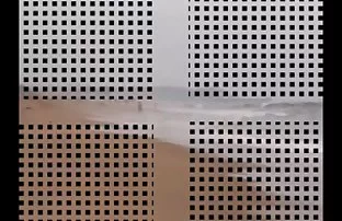 XXX कामौत्तेजित होणे कुत्री भाग मुलगा पाहू देशद्रोह