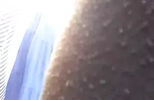 XXX एक तिघांनी करायचा सह पार्क एक tattooed हौशी