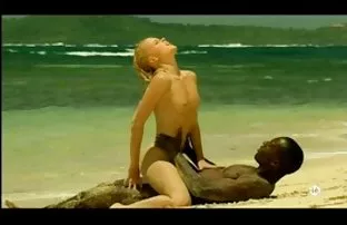 XXX समृद्धीचे कुत्री मारणे