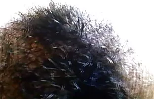 XXX रशियन सौंदर्य हस्तमैथुन शॉवर