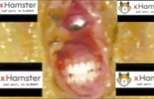 XXX कुत्री संभोग मांजर आणि माणूस एकाच वेळी